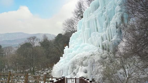 Seoul: Perjalanan Sehari Penuh ke Resor Ski Musim Dingin, Lembah Es, Namiseom