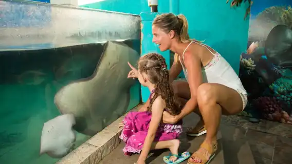 Cancún: Interactive Aquarium Admission
