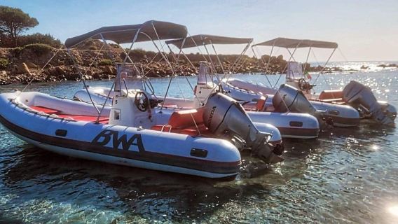 Da Orosei: escursione in gommone a Cala Ginepro - Cala Goloritzè