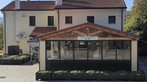 ทัวร์โรงสีมะกอกและชิมมะกอกที่เนินเขาปาดัว