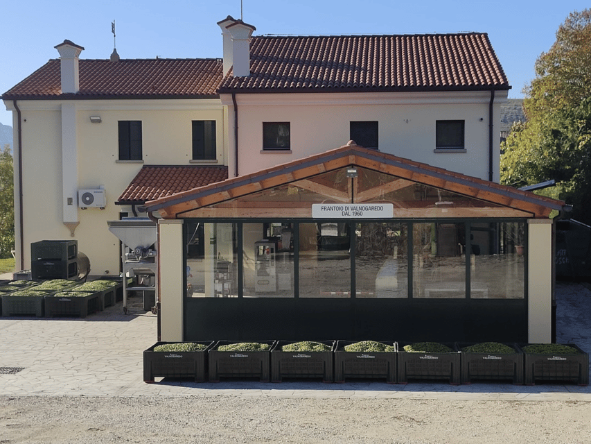 Olive Mill Tour and Tasting in the Padua Hills