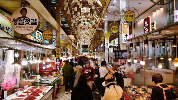 Seúl: Monte Seorak (+ Opción de teleférico) + Mercado de pescado y playa de Sokcho