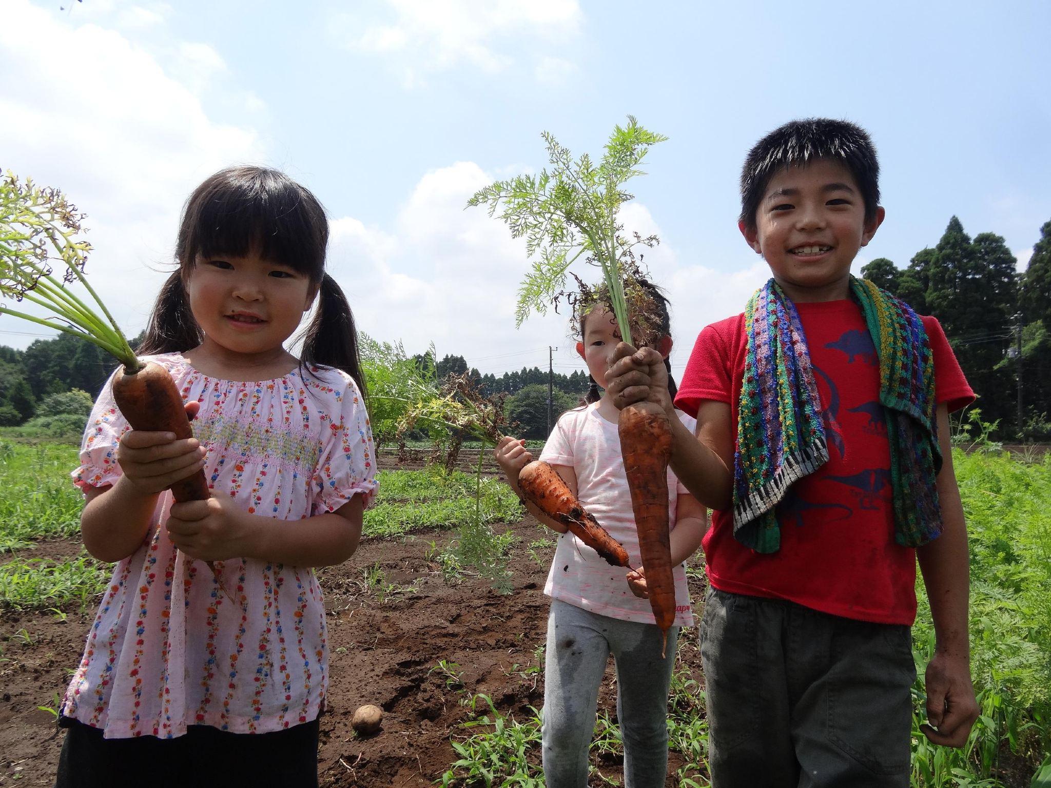 Smile Village Someya Farm - Unique Japanese Local Farm Experience