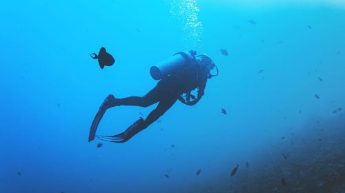 Dubai Attraction: Bermuda Diving Center Day Tours 7