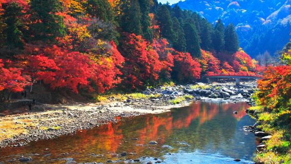 日本名古屋+Obara Fureai Park+香嵐溪一日遊