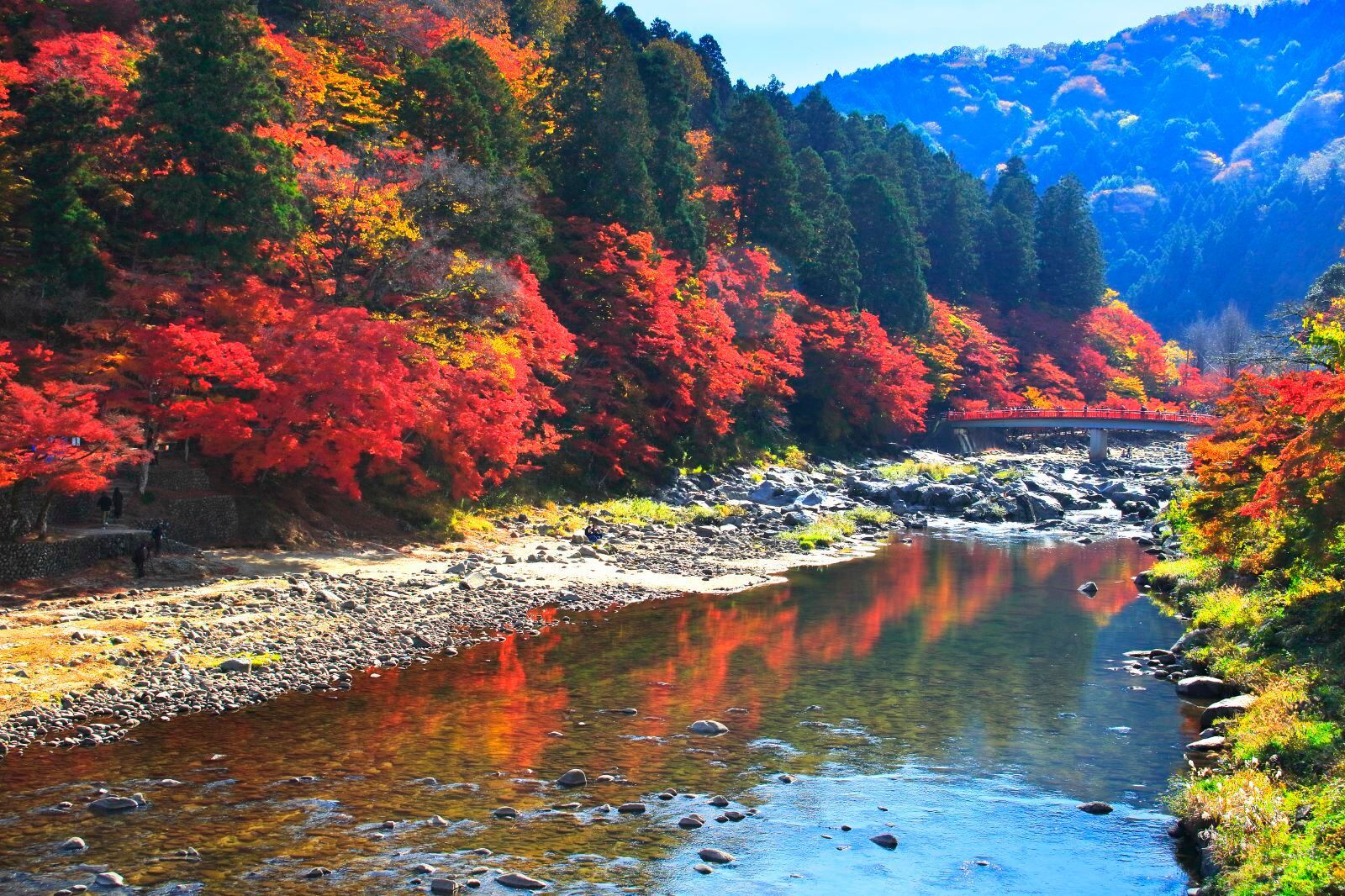 日本名古屋+Obara Fureai Park+香嵐溪一日遊