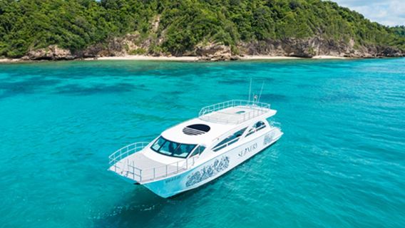 Phi Phi Island+Maya Bay+Bamboo Island Day Trip, from Phuket