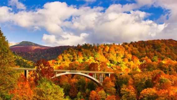 日本青森のディープツアー │ 奥入瀬渓流＆十和田湖＆八甲田山ワンデーツアー