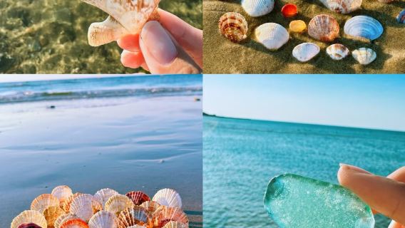 4-8人商務車【市區車接送】深度講解一日旅行團