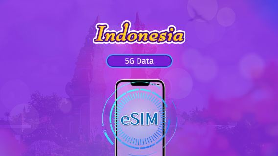 Indonesia | 5G/4G eSIM | Day Pass/Total Package | 24H Billing | 1-30 days | QR code