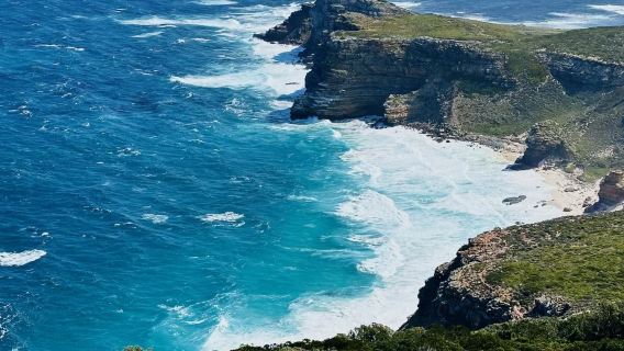 【南非開普敦包車一日遊】好望角+企鵝灘+大康斯坦提亞葡萄酒莊