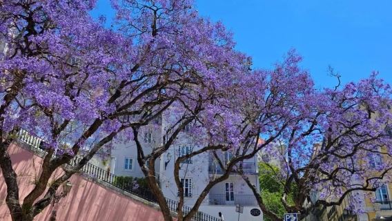 葡萄牙里斯本市區-親子休閒歡樂-可全境包車-精選