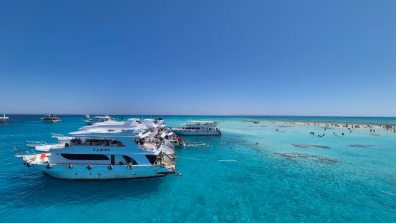 沙姆沙伊赫出海+白島一日遊丨飯店接駁丨含午餐丨可選浮潛/深潛