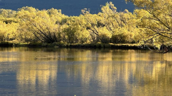 紐西蘭皇后鎮-但尼丁-隧道海灘-可定制【中文專車-愜意舒適】