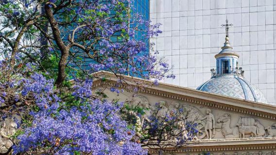 阿根廷布宜諾斯艾利斯包車一日遊【中文導遊全程陪同+景點任選】