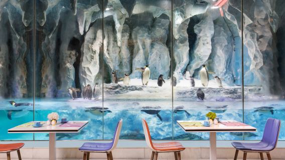 Buffet breakfast/lunch/dinner at Emperor Penguin Restaurant in Zhuhai Chimelong Ocean Kingdom Resort Penguin Hotel