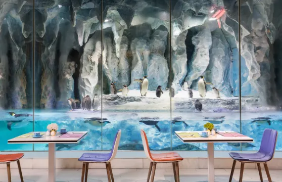珠海長隆海洋王國度假區企鵝酒店帝企鵝餐廳自助早餐/午餐/晚餐