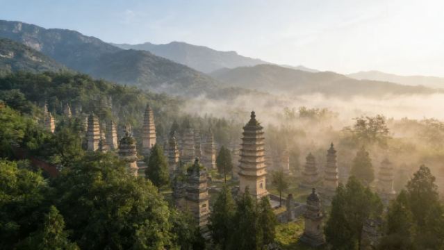 Luoyang: Longmen Grottoes & Shaolin Temple Day Tour (with Kung Fu Show) | CITS × ZANBUS