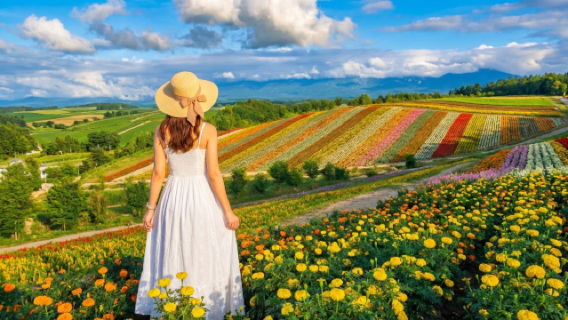 Летнее путешествие по цветочным полям Фурано на Хоккайдо: Холм разноцветных сезонов + Ферма Томита + Синий пруд Широгана + Семь звездных деревьев