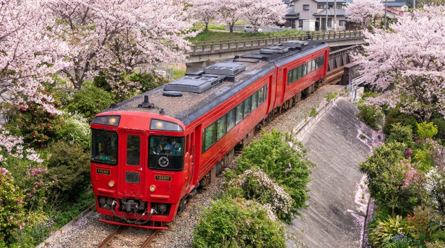 Beppu Sea Hell & Yufuin Forest Train Day Tour
