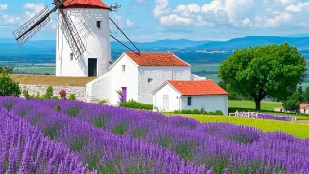 Lawatan sehari Avignon pergi-balik - Provence - Gordes - Roussillon - Sault (tidak termasuk tiket)