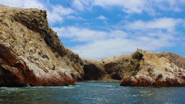 1-day tour from Lima to Paracas, Las Ballestas and Huacachina with round-trip transfer