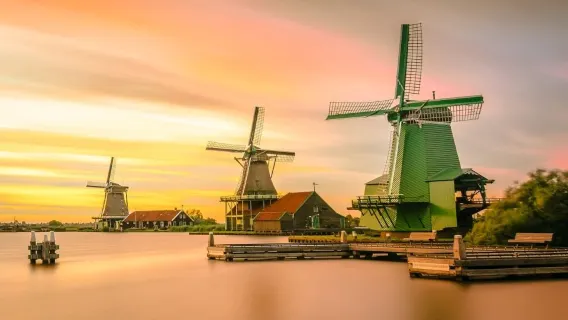 Zaanse Schans windmill village + luxury cheese factory + wooden shoe making demonstration half-day tour from Amsterdam, Netherlands