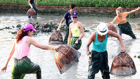 Tour Mỹ Tho | Cù Lao Thới Sơn | Trải Nghiệm Miền Sông Nước