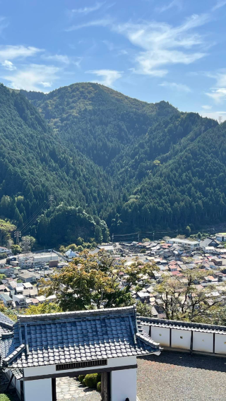 日本名古屋-犬山城-三光稻荷神社一日遊【中文包車-舒適純淨】