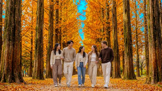 Nami Island + Petite France & Italian Village One Day Tour (From Seoul, English Guide)