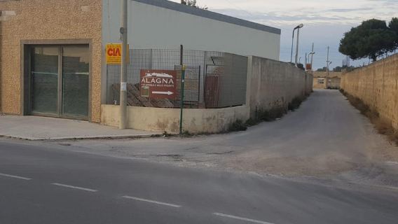 Marsala: Winery visit and wine tasting with local food tastings