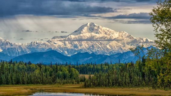 Fairbanks Denali National Park hiking tour