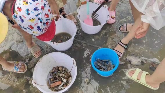 北海銀灘+老街+歡樂趕海挖螺抓螃蟹一日遊【純玩小團不早起】