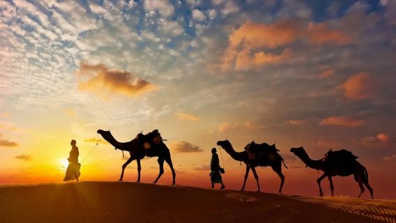 Perjalanan Gurun & Warisan Rajasthan: Udaipur, Jodhpur & Jaisalmer dalam 8 Hari