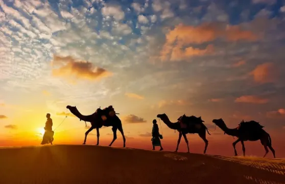 拉賈斯坦邦沙漠與文化遺產之旅：8日探索烏代布爾、焦特布爾及傑伊瑟爾梅爾