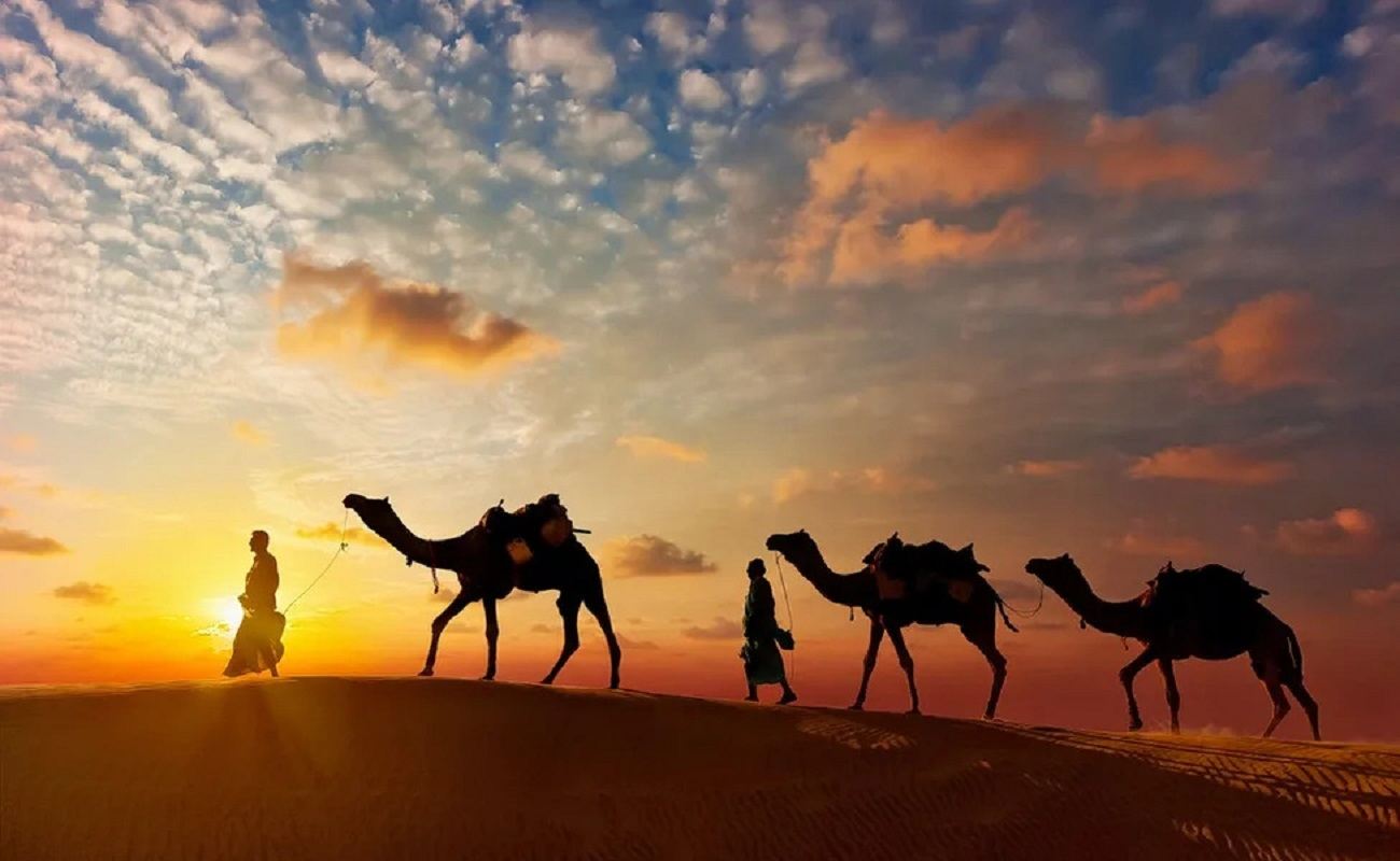 Viaggio nel deserto e nel patrimonio del Rajasthan: Udaipur, Jodhpur e Jaisalmer in 8 giorni