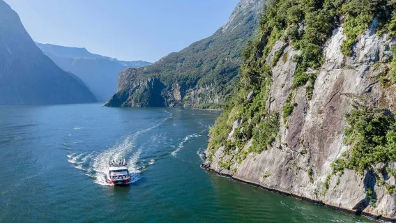 Esplorazione del Milford Sound in Nuova Zelanda con tour di un giorno (partenza da Quilpie/Te Anau + opzione pranzo inclusa)