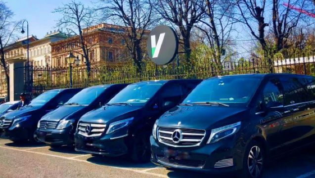 1-day private charter tour in Budapest, Hungary with Chinese-speaking driver guide service!