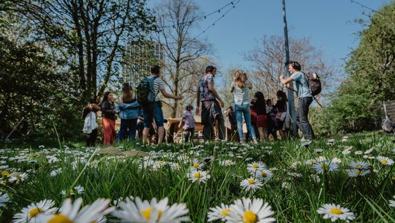 AmsterdamTours