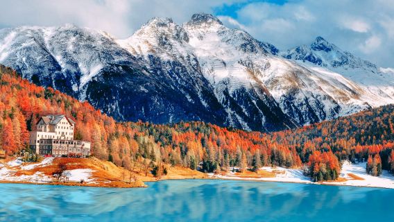 Rosengart Collection + พิพิธภัณฑ์การขนส่งสวิส + Stanserberg