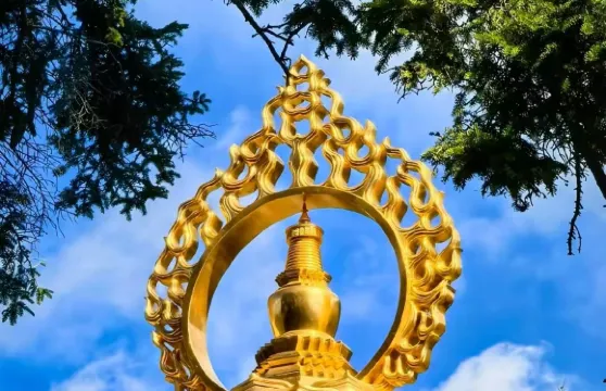 五台山一日遊【太原出發·含門票、來回大巴·精品團天天發團】