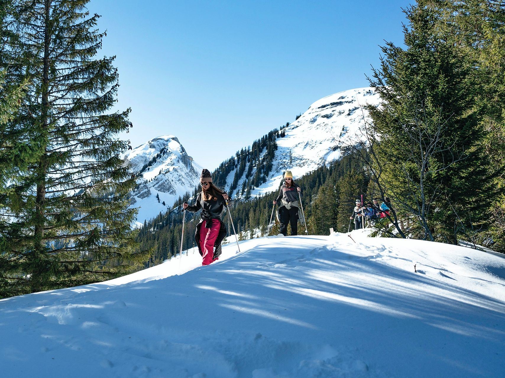 Snowshoe Adventure in the Swiss Alps