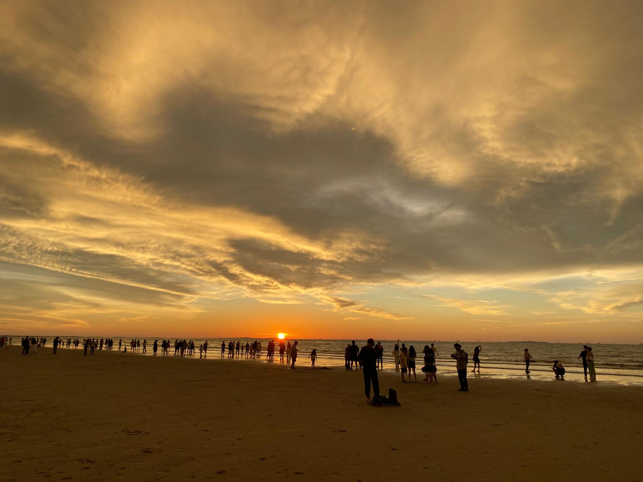 Bongawan Twilight Wonders: Mangroves, Monkeys & Fireflies Cruise with Dinner in Sabah