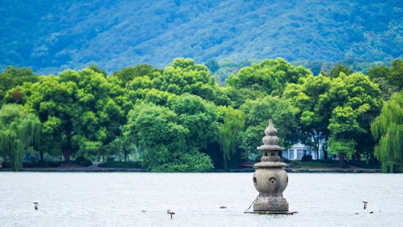 10人精緻團丨杭州雷峰塔+西湖環湖遊船ღ可選靈隱寺・茶園採茶