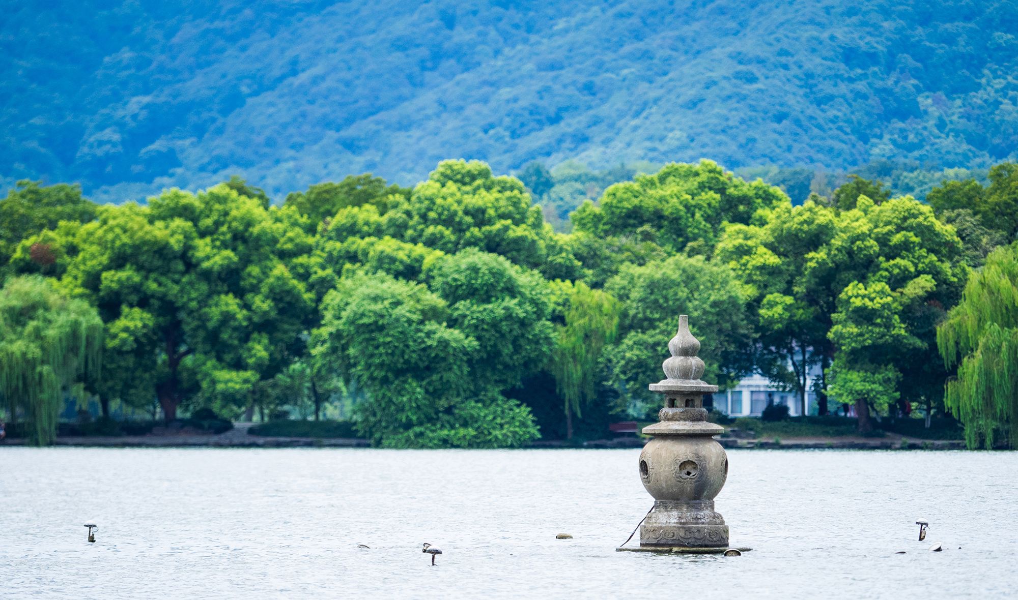 10人限定の上質ツアー丨杭州雷峰塔＋西湖周遊遊覧船ღオプションで霊隠寺・茶畑で茶摘み体験