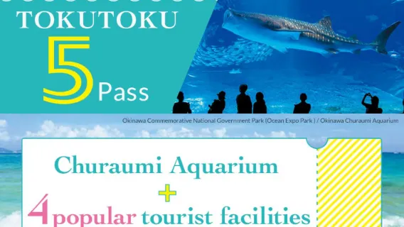 Pase para 15 atracciones en Okinawa