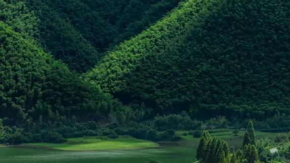 Zhejiang Anji one-day tour attractions can be customized|One order group|private charter|Multilingual guide interpreter C