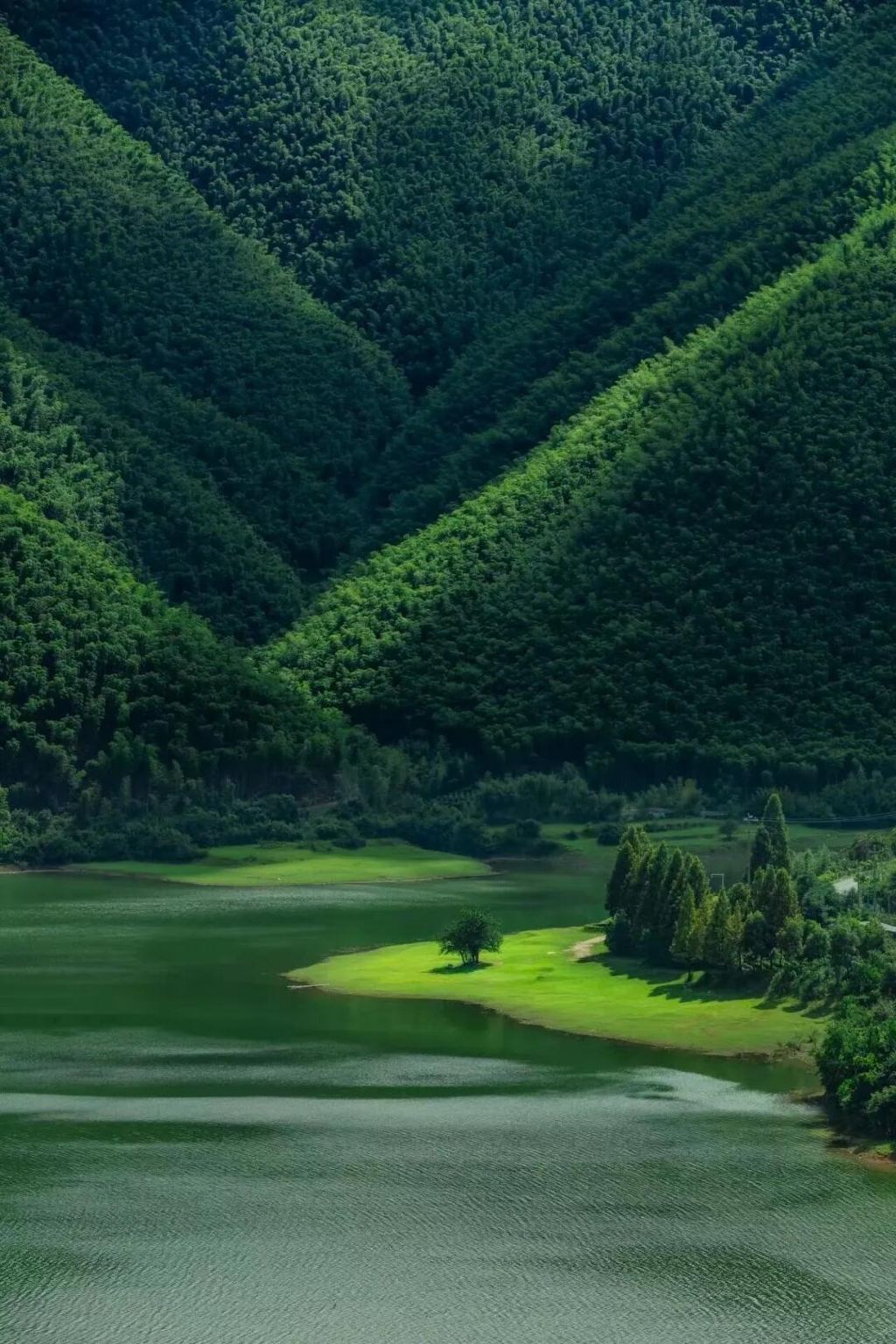 Customizable Anji day tour in Zhejiang|One order, one group|private charter|Multilingual Guide Translation C