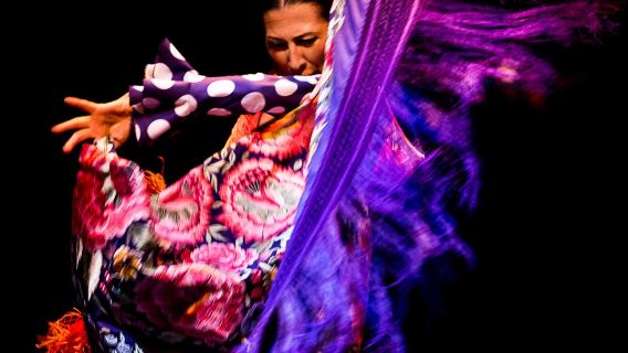 Flamenco Dance Museum - Show Only