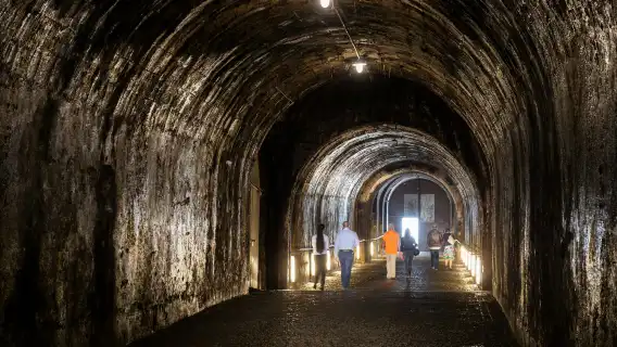 Klosterneuburg Abbey: Guided Wine Cellar Tour & Tasting